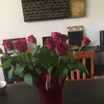 Joy Egan - @joy.egan.794 - Instagram