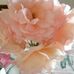 Joy Egan - Facebook