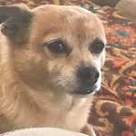 Joy Snyder Eggleston - @joyeggleston - Instagram