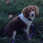 Joyce Paige Eggleston - @joyce.p.eggleston - Instagram