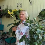 Joyce Eldridge - @joyceeldridge82 - Instagram
