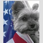 Joy Eller - @jeller3718 - Instagram