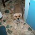 Joyce Eller - Facebook