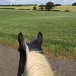Joy Ellison - @madhorsejo - Instagram
