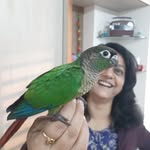 🧿  JOY . SASSY . ALLY . LEO  🦜 🦜  🧿 - @joyelytails - Instagram