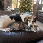 Joy Ely - @boy.mom.4 - Instagram