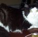 Joy Engle - Facebook