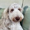Joy - @joy.epperson - TikTok