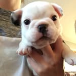 Joy Ernst - @jlernst1537 - Instagram