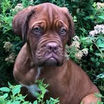 Joy Ernst - @thejoyernst - Instagram
