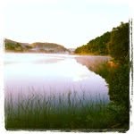 Joy Erwin - @activelingcrawler - Instagram
