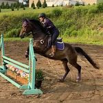 Joy Ewing - @canterlanefarm - Instagram