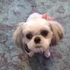 Joy Farr - @amelia_joy2024 - TikTok