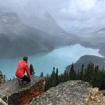 Joy Fife - @joyfulholistichealth - Instagram