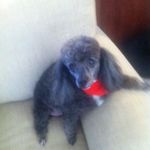 Joy Fitzgerald - @joyf.itzgerald63 - Instagram