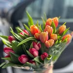 Joy Fitzgerald - @joyannafitzgerald - Instagram