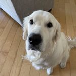 Joy Fitzgerald Shah - @joyfitzgerald - Instagram