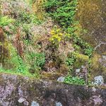 joy - @joy.fitzgerald_52s8 - Instagram