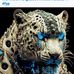 Joy Fox - Facebook