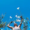 Joy Fox - @joy.fox44 - TikTok