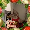 Joy Frazier822 - @joyfrazier822 - TikTok