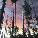 Joy Fredericks - @joybyrd1 - Instagram
