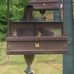 Joy Fulford - Facebook