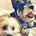 Joy Fulford - Facebook