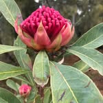 Joy fuller - @joyfuller8367 - Instagram