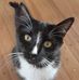 Joy Fulton - Facebook