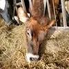 joy ganne - @joy.ganne - TikTok