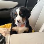 Harper Joy Gardner - @harpers_world_bmd - Instagram