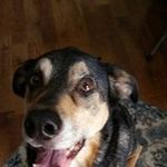 Joy Gardner Brooks - @joy.g.brooks.5 - Instagram