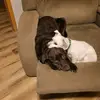 Joy Gardner - @joy.gard - TikTok