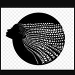 Joy Gentry - @joy_luck_braids - Instagram