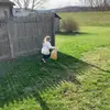 Joy Gifford - @joy.00.1 - TikTok