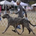 Joyce Gifford - @giffordjoyce - Instagram