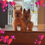 Joy Gillespie - Facebook
