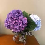 Joy Glenn Helms - @glennhelmsjoy - Instagram