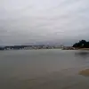user1871924993338 - @joy.goncalves4 - TikTok