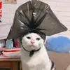 joy gonsalvesyyhh - @joy.gonsalvesyyhh - TikTok