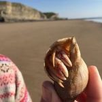 Joy Goodenough - @joygoodenough - Instagram