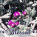 Joy E Gorham - Facebook