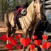 Joy Gorham Smith - Facebook