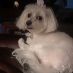 Joy R. Griggs - Brimmer - @griggsbrimmer - Instagram