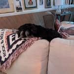 Joy Grimes - @joy.grimes.12 - Instagram