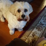 Joy Groves - @joybgroves - Instagram