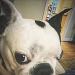 Joy Guy - @joyguy3223 - Instagram