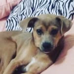 Joy Guy - @joy_bella10 - Instagram