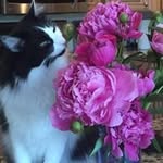 Joy Hager - @hager.joy - Instagram